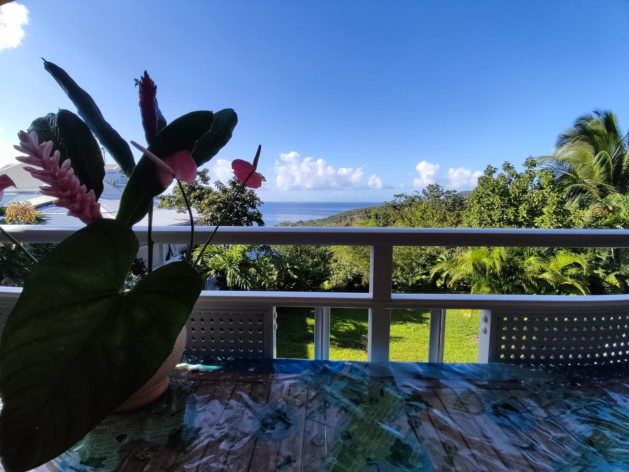 Bungalow With Sea View In Deshaies Ngoại thất bức ảnh