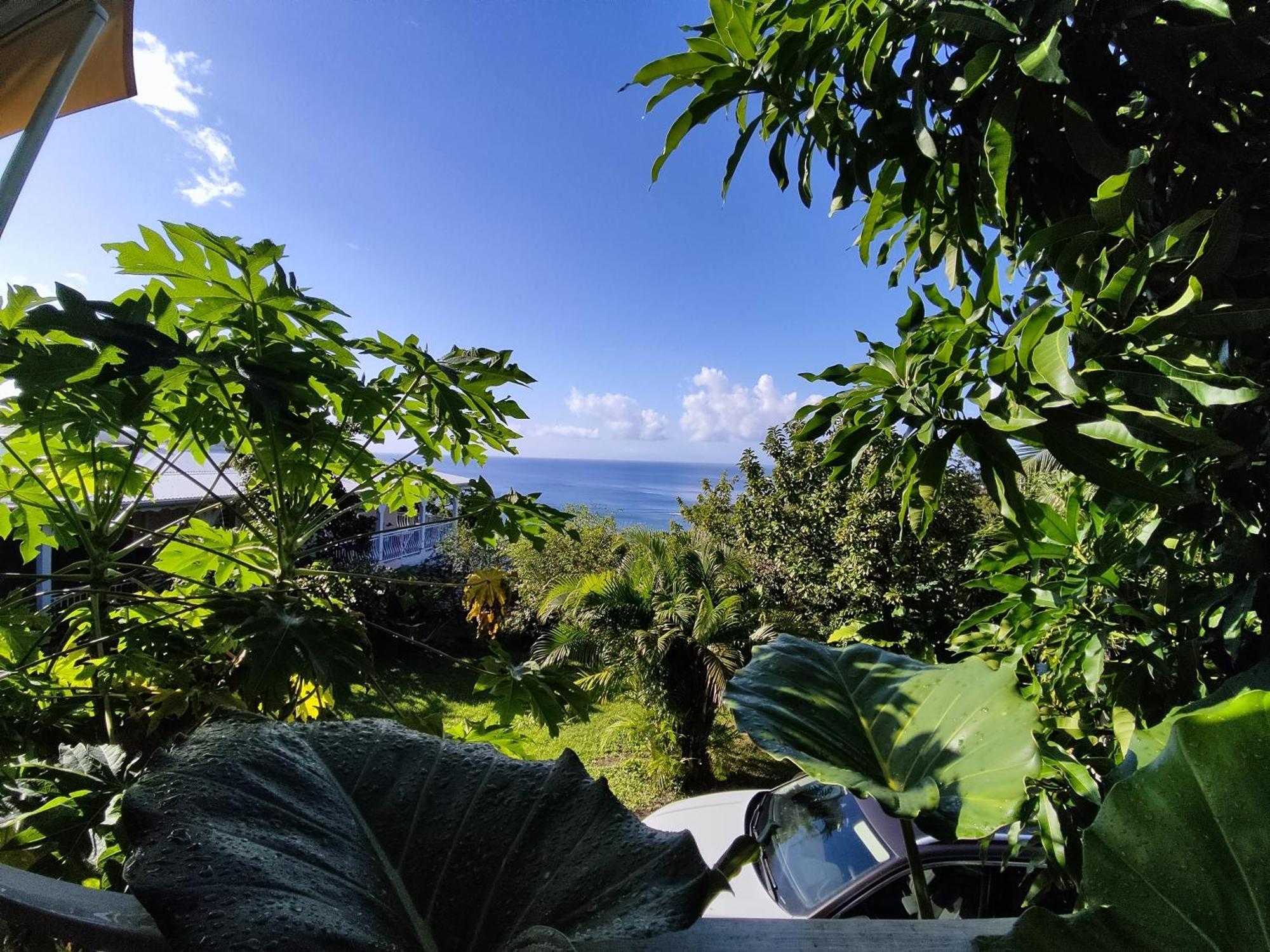 Bungalow With Sea View In Deshaies Phòng bức ảnh